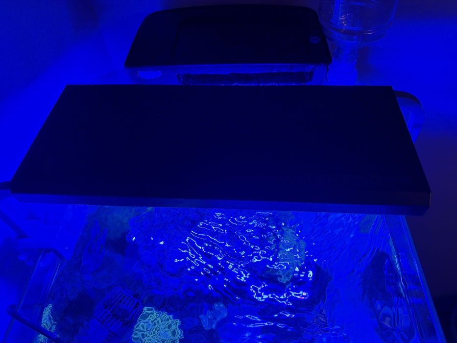 Akwarium morskie 49l