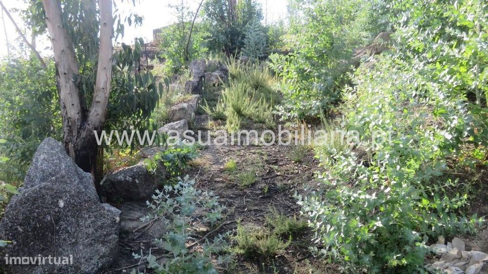 Terreno p/ Construção - Valdosende