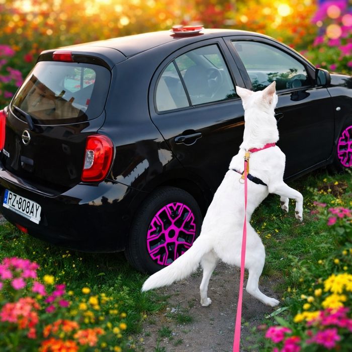 Nissan Micra k13 NA CZĘŚCI szybka wysylka MILA OBSLUGA