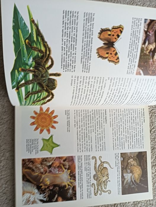 Biologia	Enciclopédia Juvenil  com muitas fotografias e ilustrações