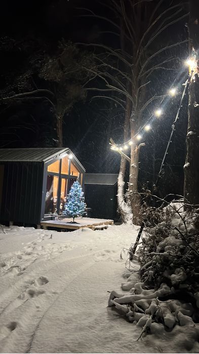 Здам будиночок в лісі біля Киівського моря