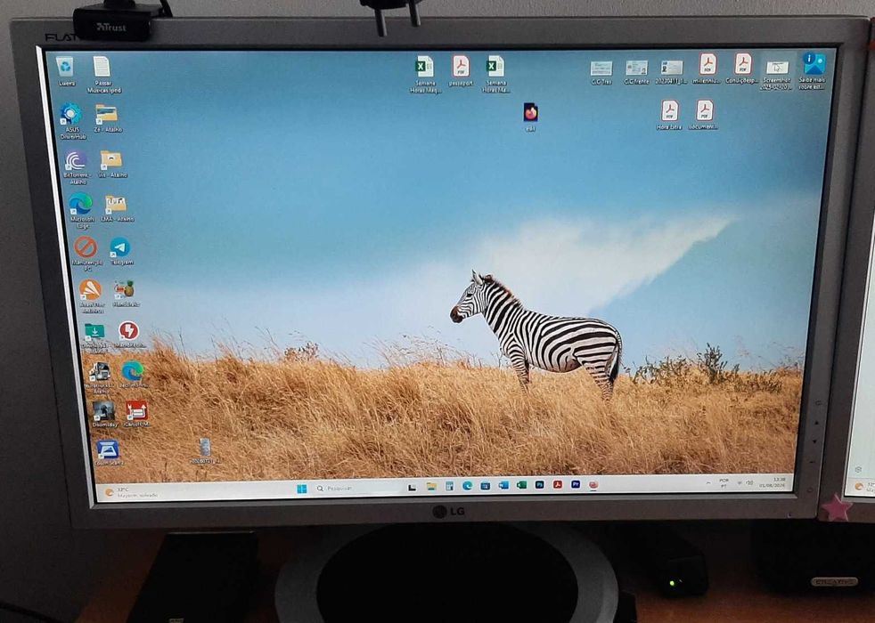 Monitor LG Flatron L204WT