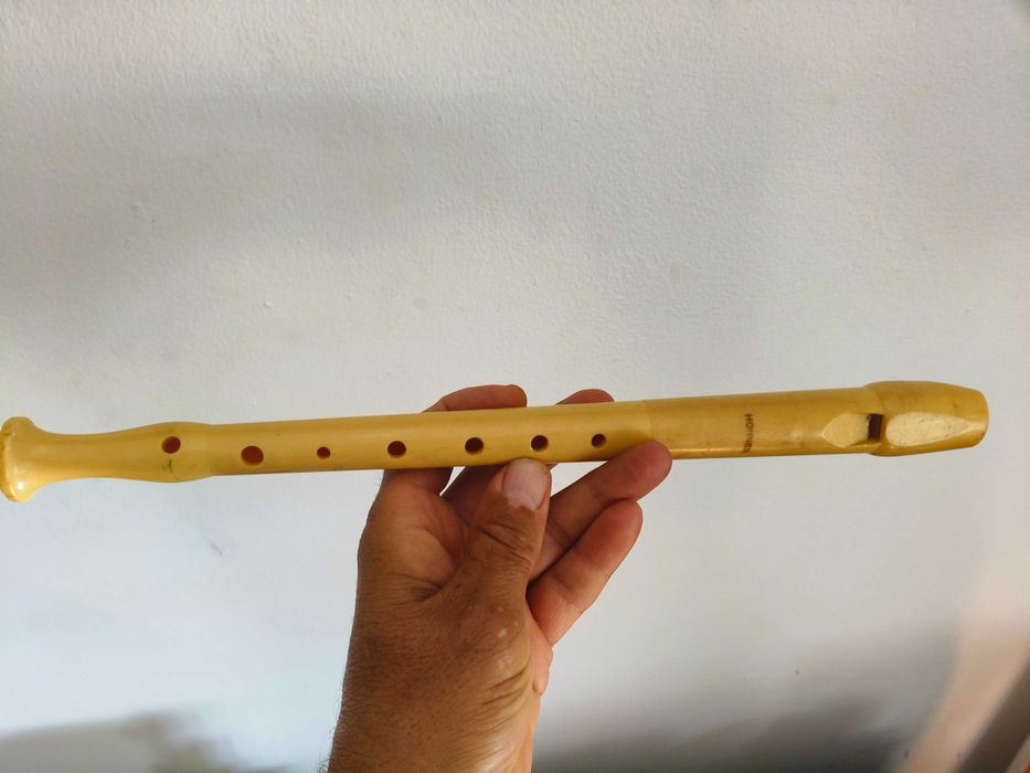 Flauta original Hohner para aulas de musica ou educacao musical