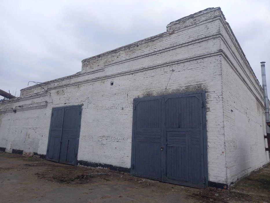 Комплекс будівель 3 061.3 м2, Мрин, вул. Центральна, 103