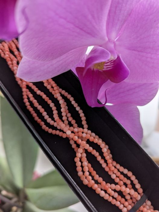 Антикварний корал Італія