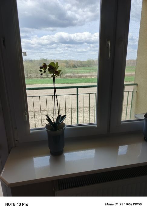 Sprzedam  mieszkanie