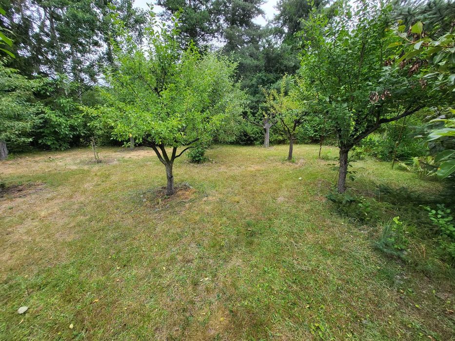 Malownicza działka ROD Jarzębina Godów Radom [600 m²] z domkiem murowanym [42 m²] - Widok 5