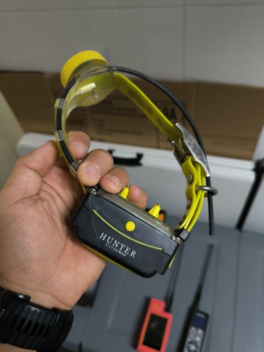 Coleira GPS DTR 25000 – Excelente estado