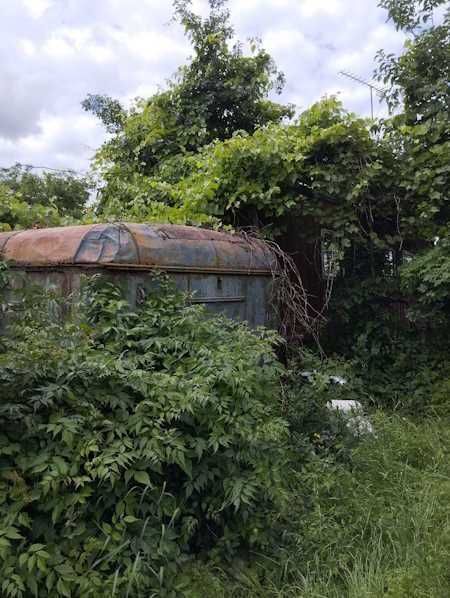 Продаж дачі в Бердичівському районі