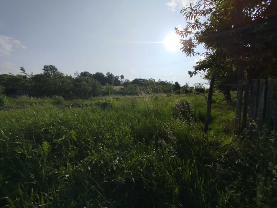 (8) Продам земельну ділянку в Бохониках 8614