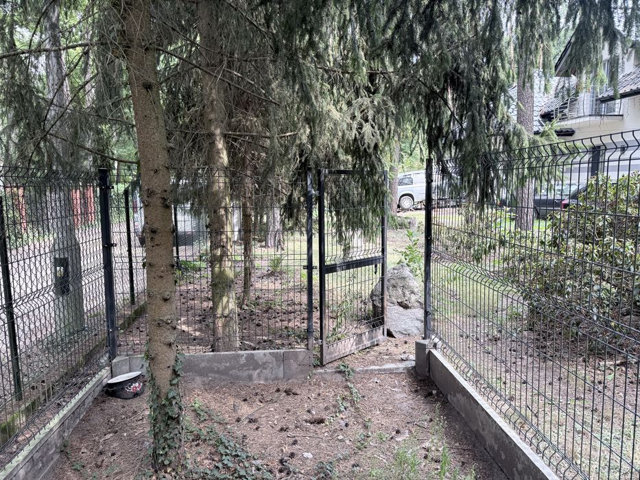 Kojec dla psa z budą