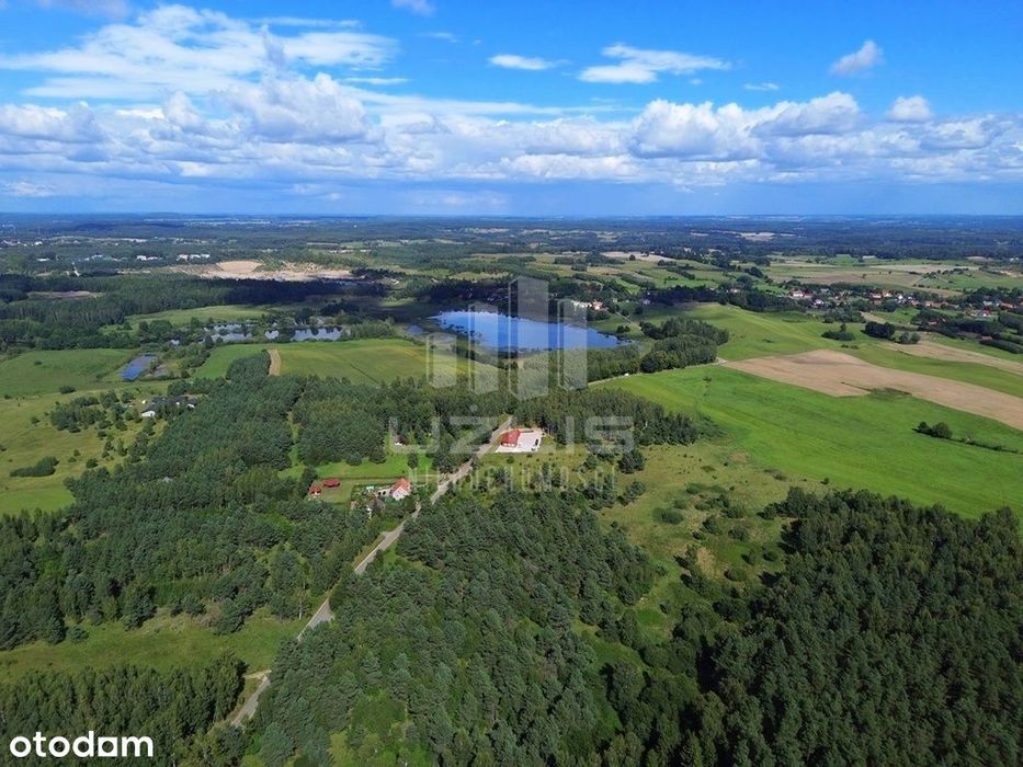 Działki wśród jezior i lasów - Widok 5