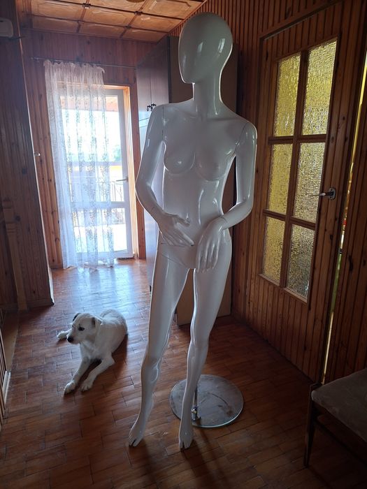Manekin biały połysk