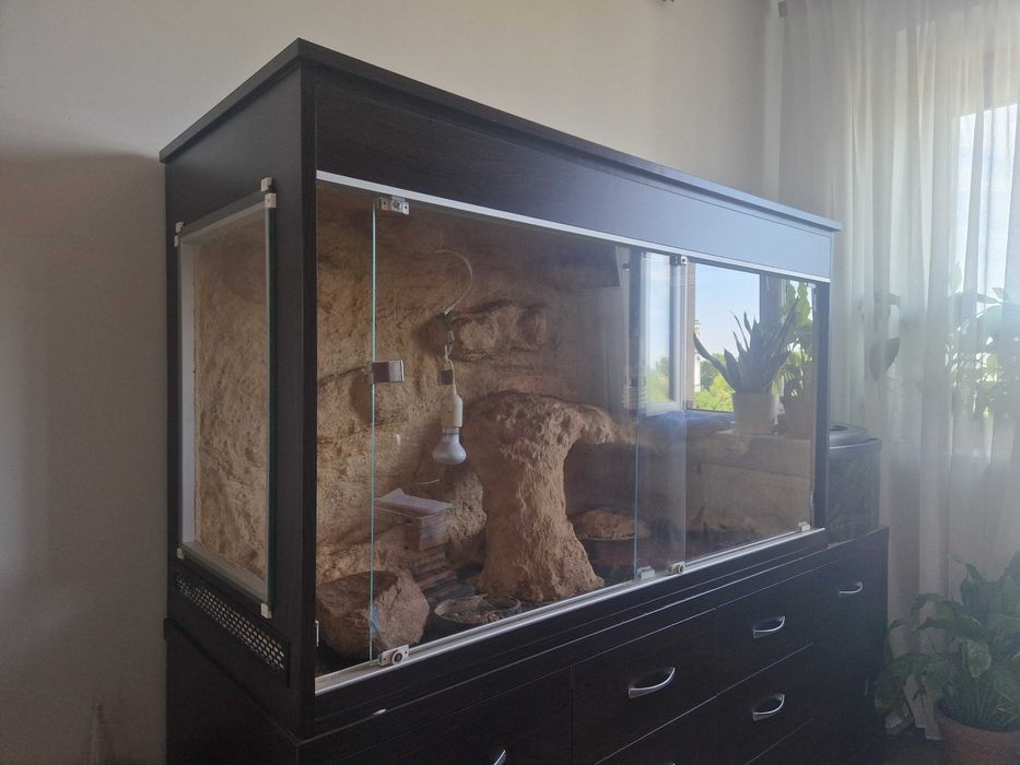 Duże terrarium pustynne 140 × 55 × 80 cm – ścianka 3D, gotowe do aranżacji