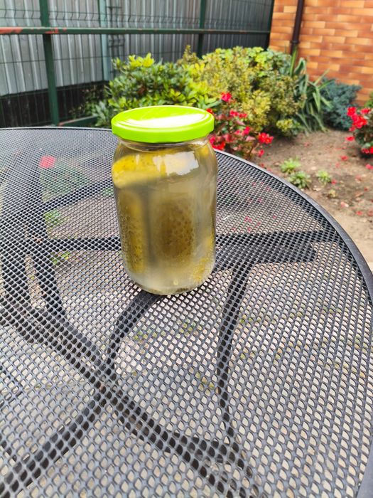 Ogórki kiszone domowe  wyrób własny