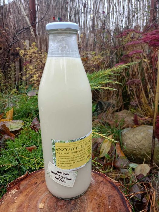 enzymy Bołotowa 3 litry