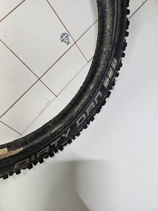 Pneu shwalbe dirty dan 29