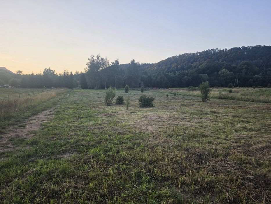 Działki budowlane - Widok 4
