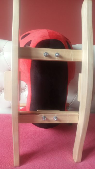 Biedronka na biegunach. Bujaczek