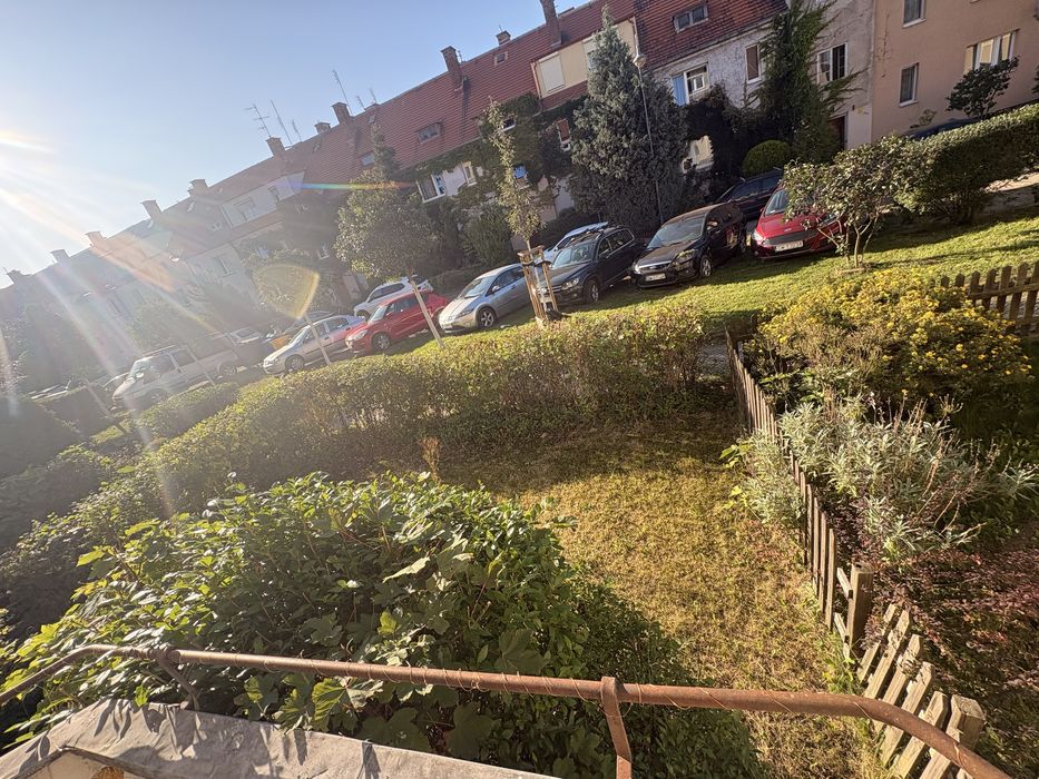 Zdjęcie 7