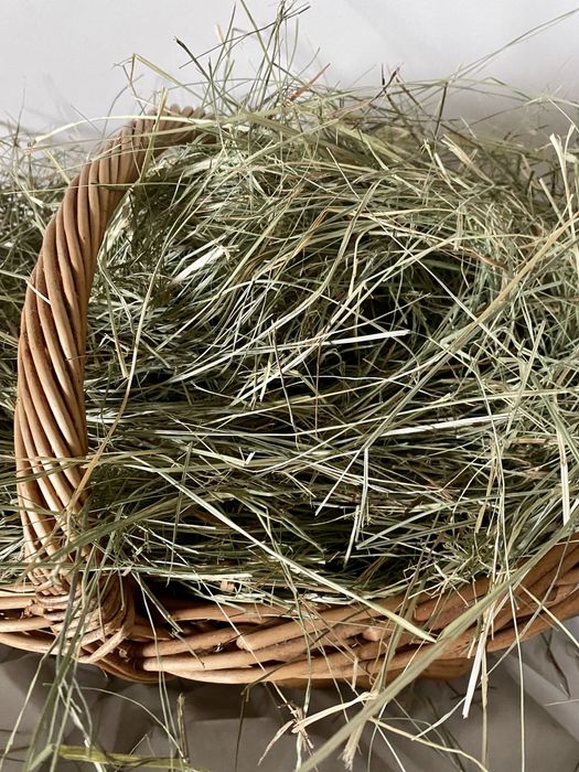 Sianko dla krolikow i swinek morskich 1kg