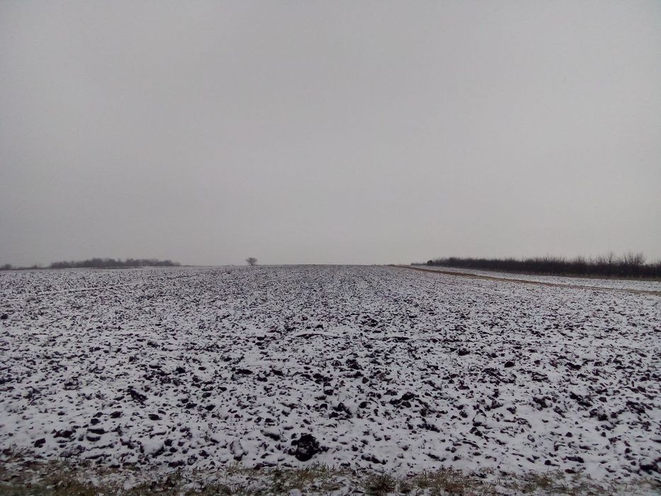 земельна ділянка 107 сот