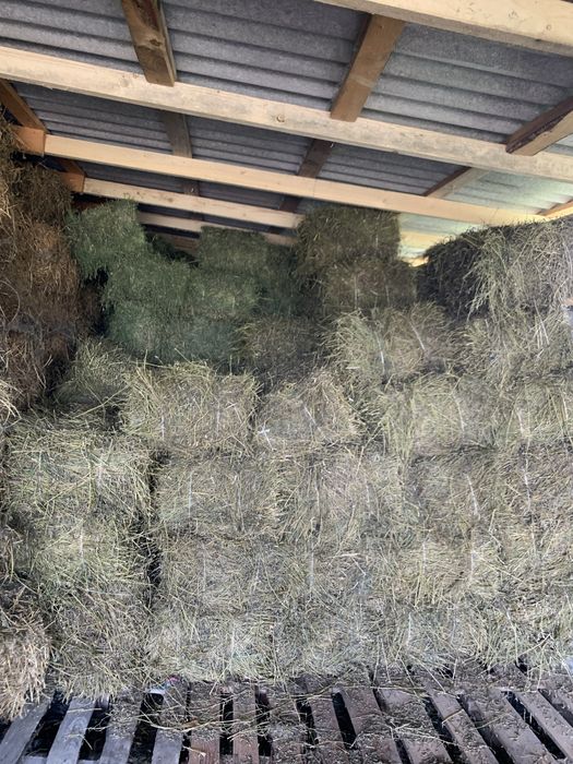 Продам люцерну в тюках