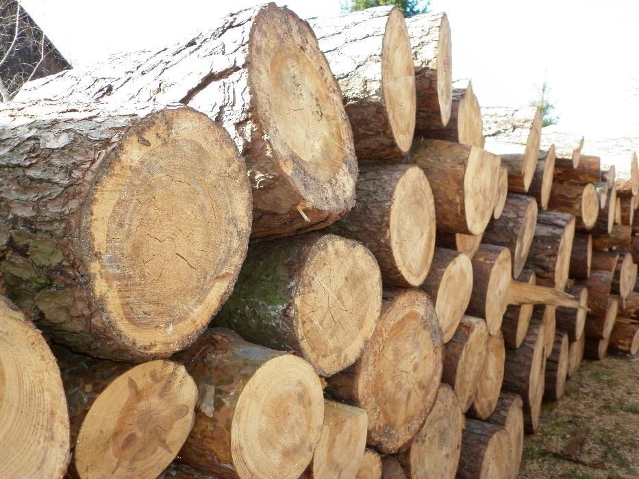 Drewno kominkowe i opałowe SOSNA