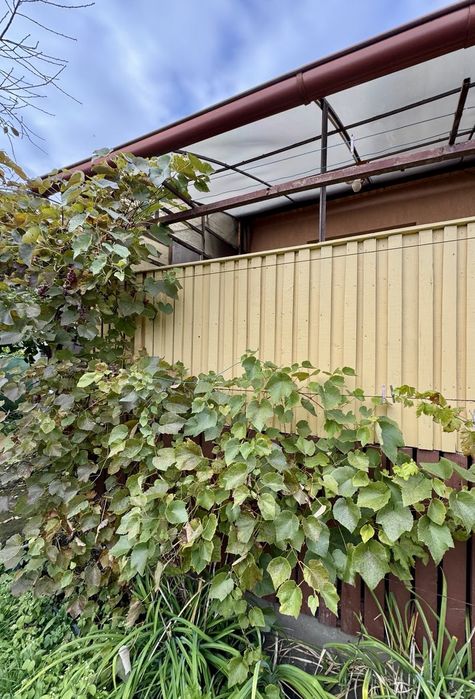 Продаж будинку з ділянкою 6 соток поблизу готелю Європа