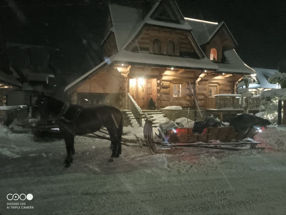 Kuligi Murzasichle ,Poronin,Zakopane