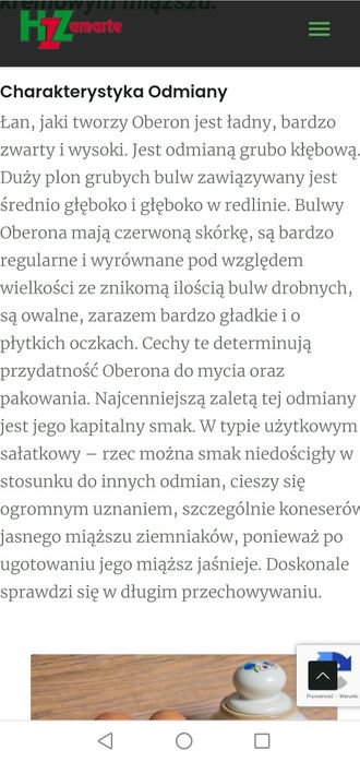 Ziemniaki Quenn Anne, Oberon z dowozem