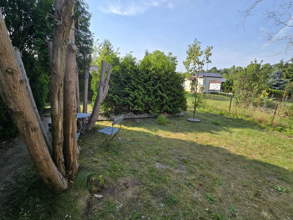 Działka ROD Gostynin ODNOWIONY Duży Domek jezioro Białe Lasy Jeziora - Widok 5