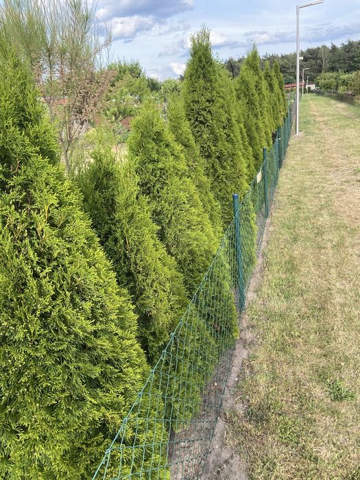 Działka rekreacyjna ''Gaik''