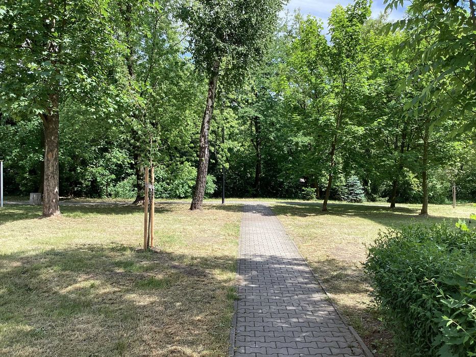Mieszkanie – Bytom, Śródmieście - Widok 3