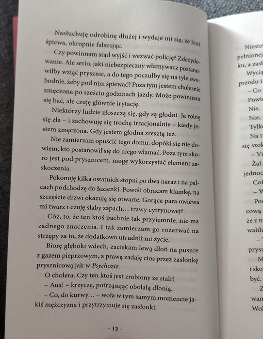 The infinity betwen us N.S. Perkins