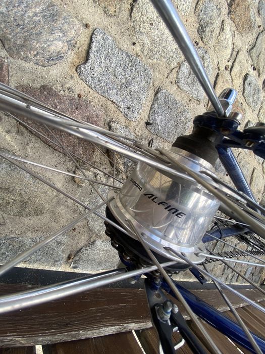 Rower Patria rama 50