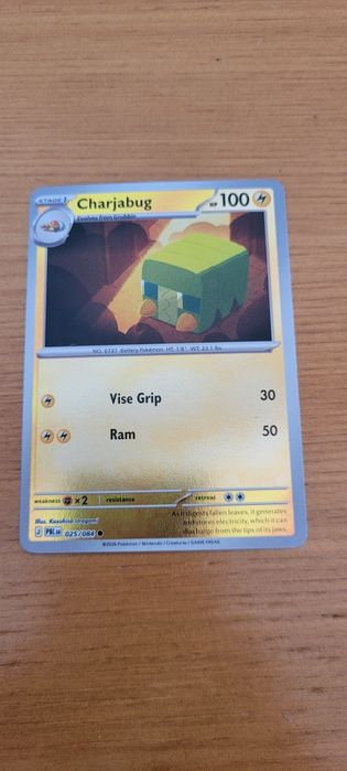 Conjunto de cartas pokemon ( contêm holos)