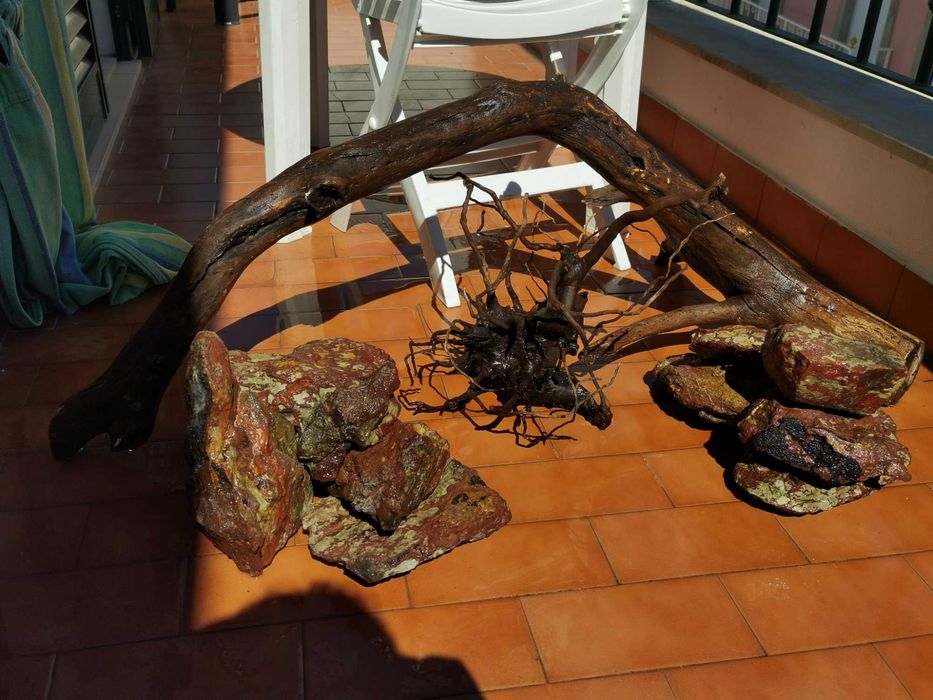 Layout aquário raiz/pedras