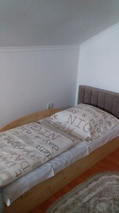 Зимова мелодія Карпат