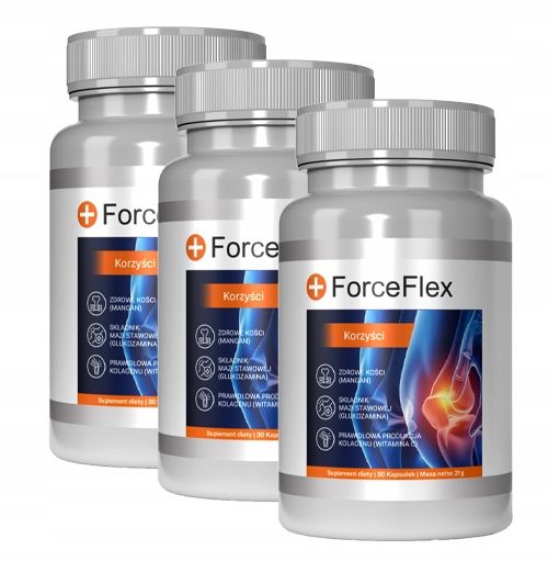 ForceFlex – Wsparcie zdrowia stawów 90 kaps.