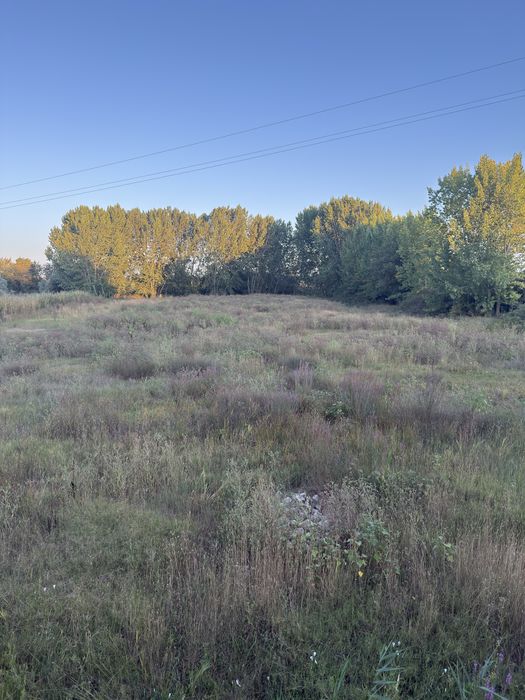 Terreno para alugar 15 mil metros quadrados