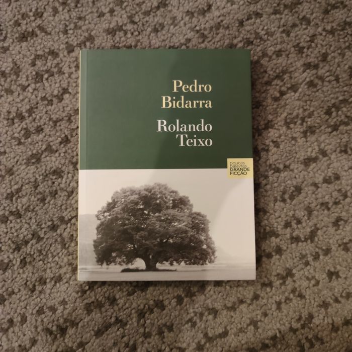 Rolando Teixo de Pedro Bidarra