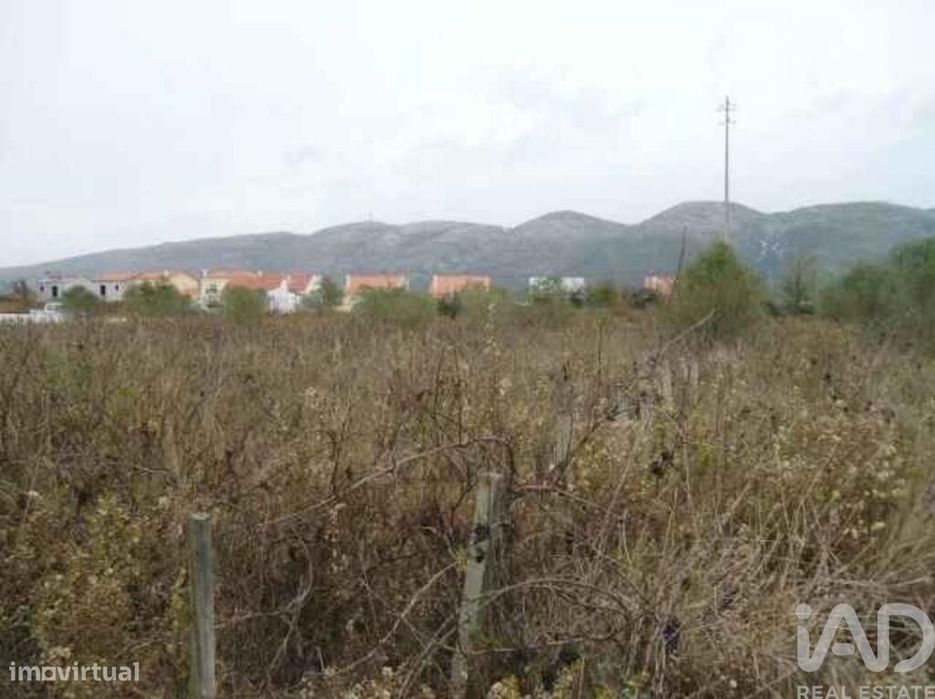 Terreno em Aljubarrota de 1221,00 m2