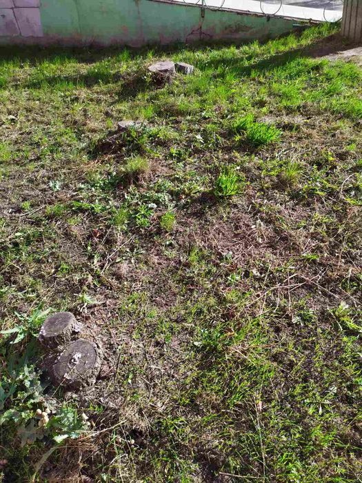 Уборка участка, листьев . Спил деревьев. Покосить , Покос травы