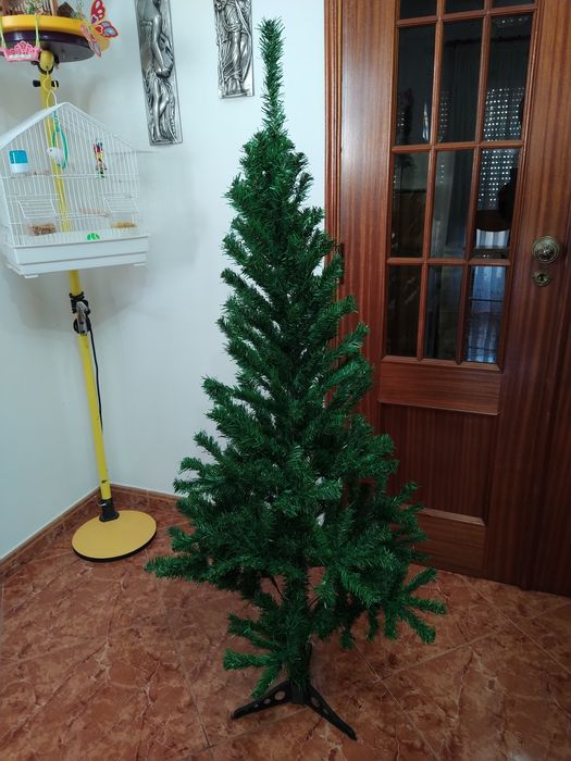 Árvore de Natal casa apartamento vivenda escritório gabinete escola