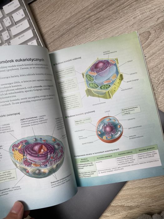 Biologia na czasie 1 - Podstawa