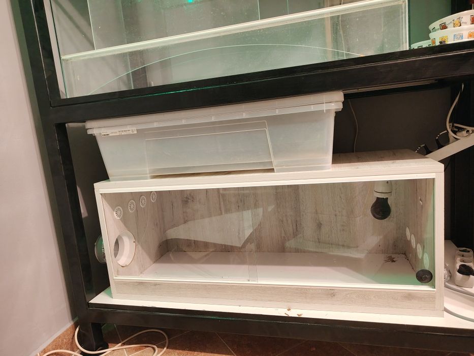 sprzedam zamienię terarium