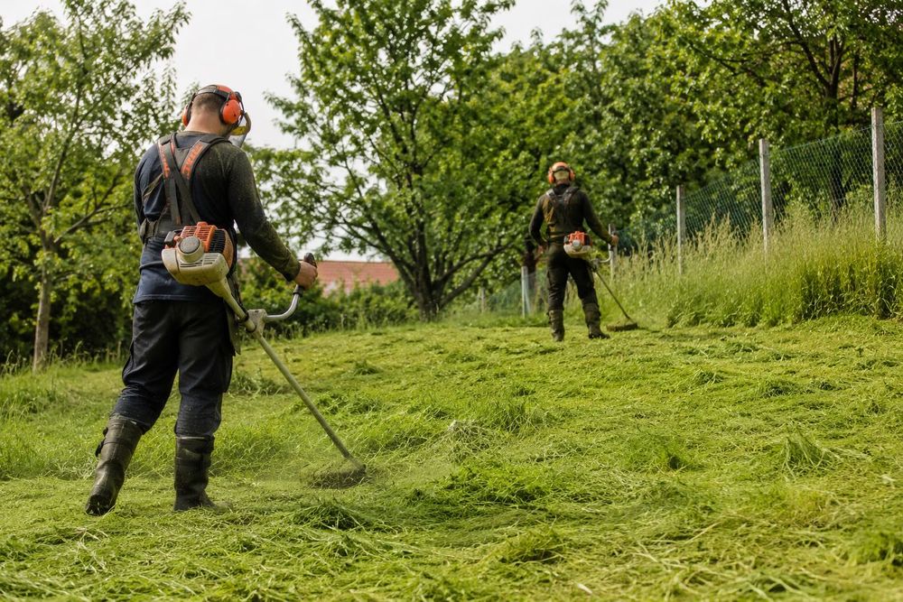 Wywóz śmieci, mebli, prace porządkowe