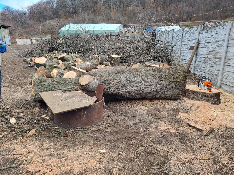 Спил деревьев обрезка веток любой сложности