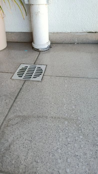 Limpeza Profissional